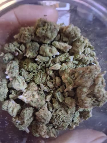 Customer photo review of Sour OG - Bulk - Hybrid