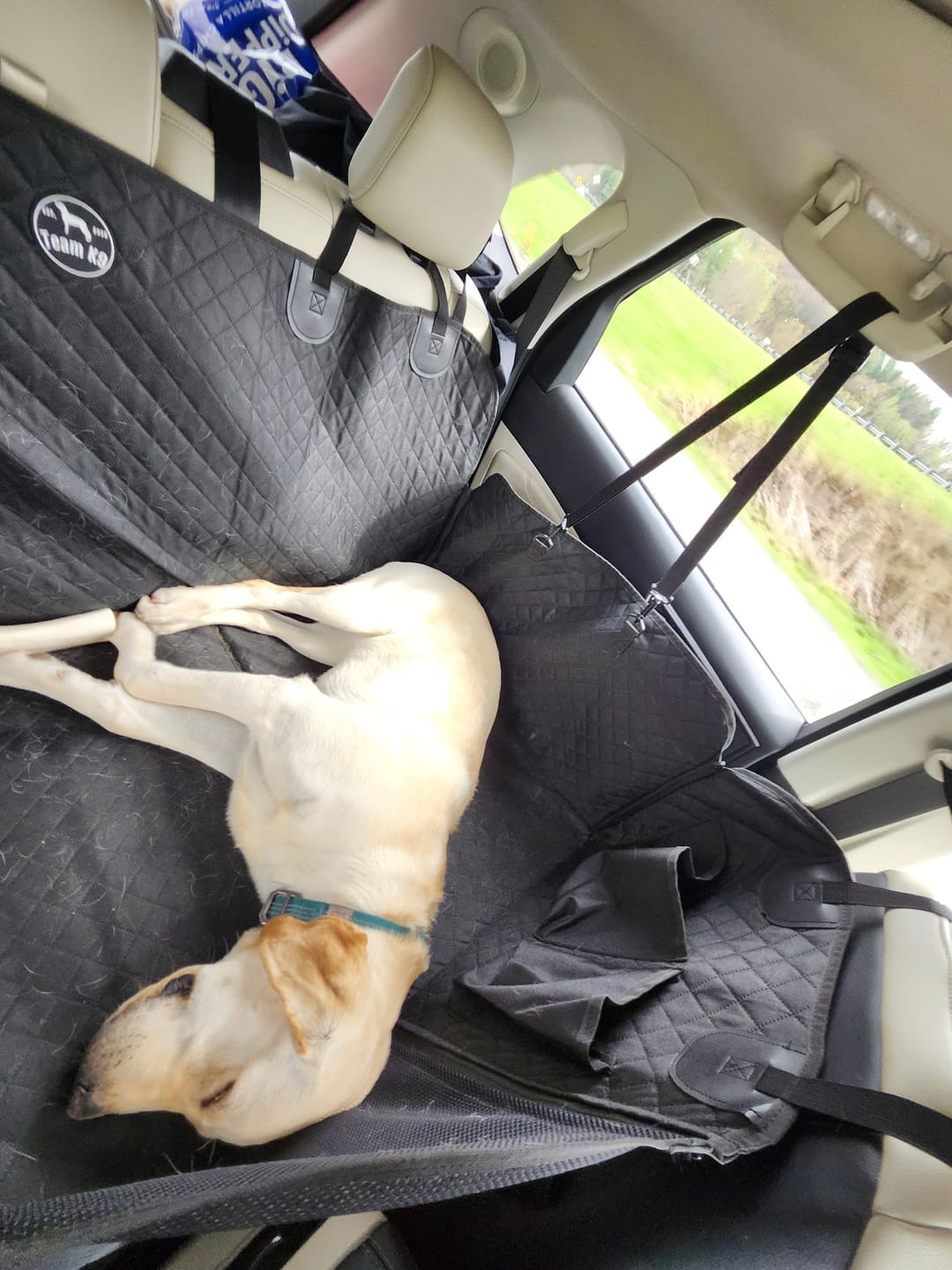 Customer photo review of NEW Waterproof Hard Bottom Car & Truck Seat Foldable Hammock Cover With Storage Pockets, Side Flaps, Headrest Straps, Seat Anchors, & Mesh Window (+FREE SAFETY BELT!)