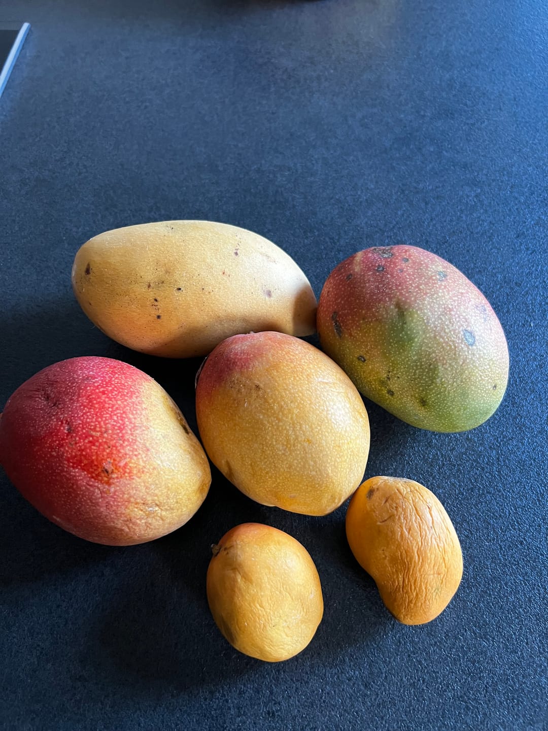 Customer photo review of Mango Entdeckerbox