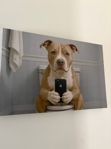 Customer photo review of American Pit Bull Terrier Dog On The Phone On The Toilet