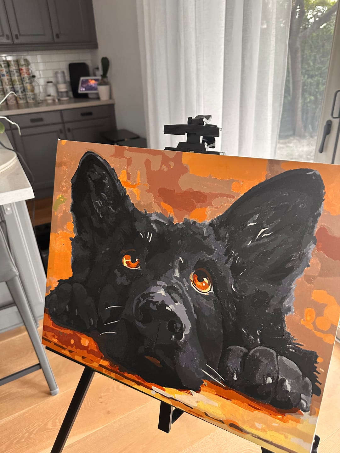 Customer photo review of Bored Shepherd