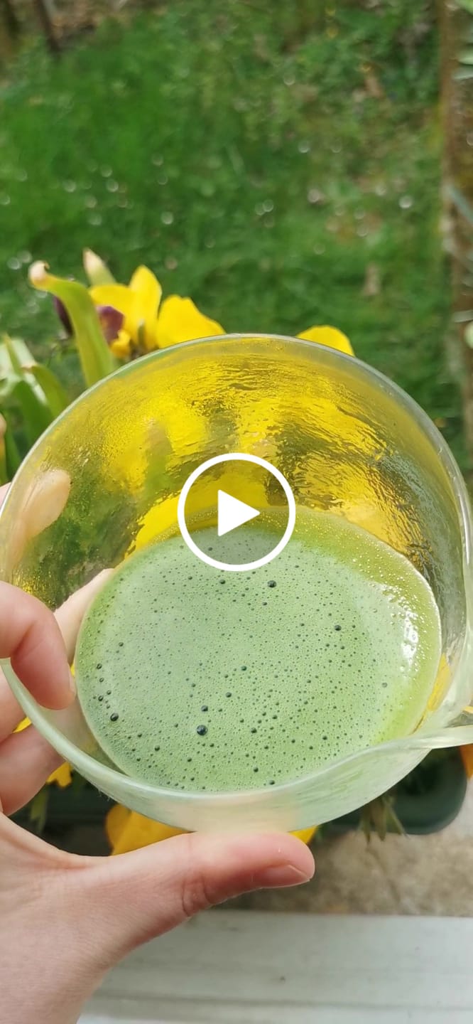 Customer video review of Échantillon Matcha Cérémonie + 10€ de bon cadeau