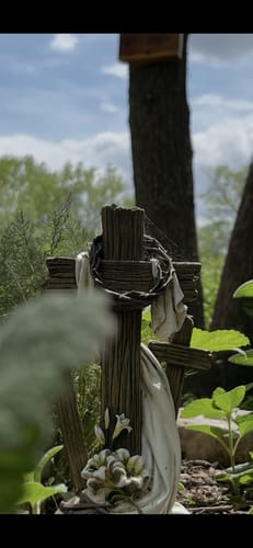 Customer photo review of Shilajit Gummies - Pineapple - Super-Infused Supplement (60 Gummies) (60 Servings)