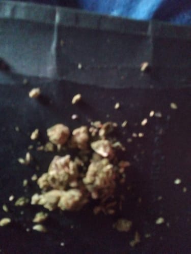 Customer photo review of Godfather OG - 28 Grams - Indica