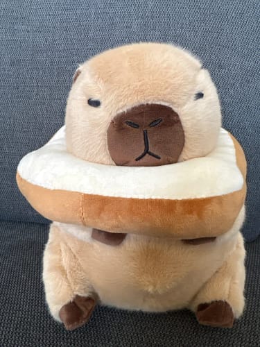 Customer photo review of Capybara Bread & Flower Plush Toy