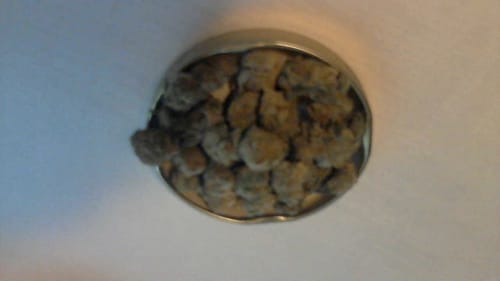 Customer photo review of Butterscotch OG - Bulk - Indica