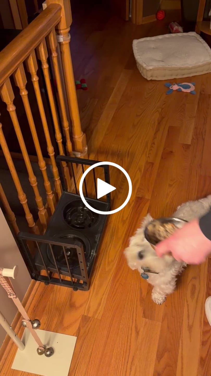 Customer video review of Whole Grain Original Base Mix