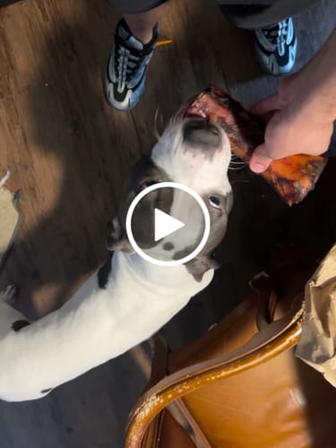 Customer video review of Smoked Beef Marrow Bone