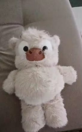 Customer photo review of MooMoo – La Vaquita Peluche que Corre
