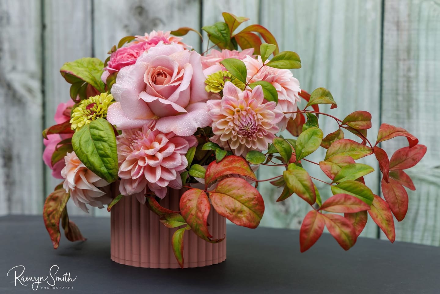 Customer photo review of Mini Poppy
