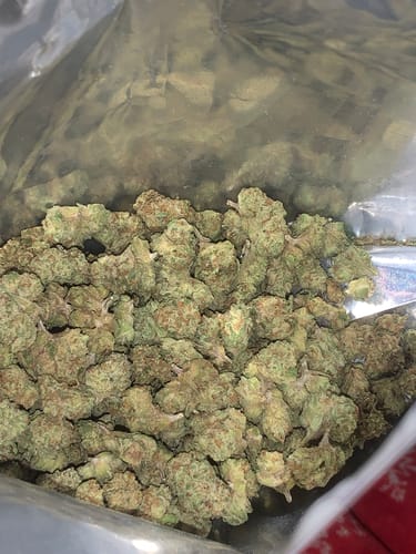 Customer photo review of Cheap THCA Flower Ounce