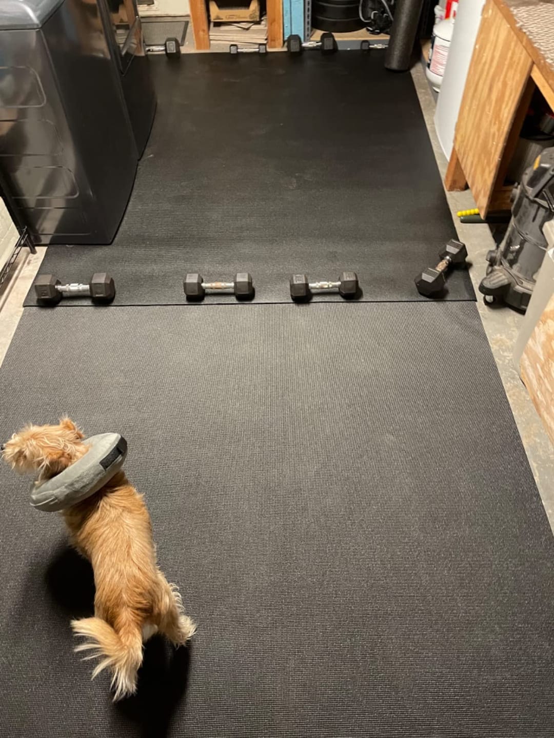 Customer photo review of GXMMAT Large Exercise Mat 6'x8'