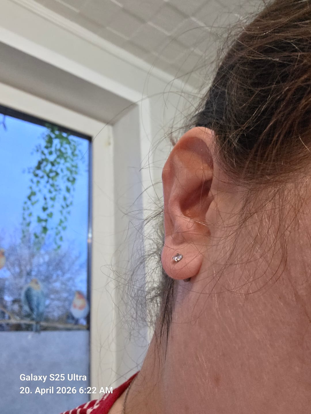 Customer photo review of Ohrringe aus Sterlingsilber