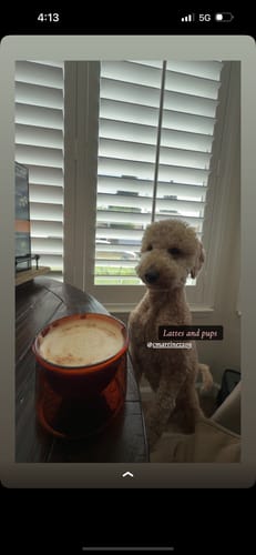 Customer photo review of FLUR Latte Glasses