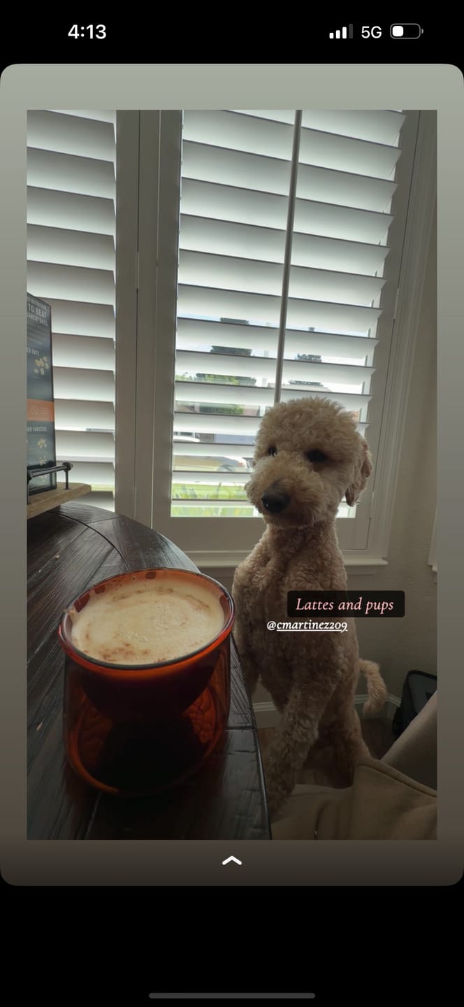 Customer photo review of FLUR Latte Glasses