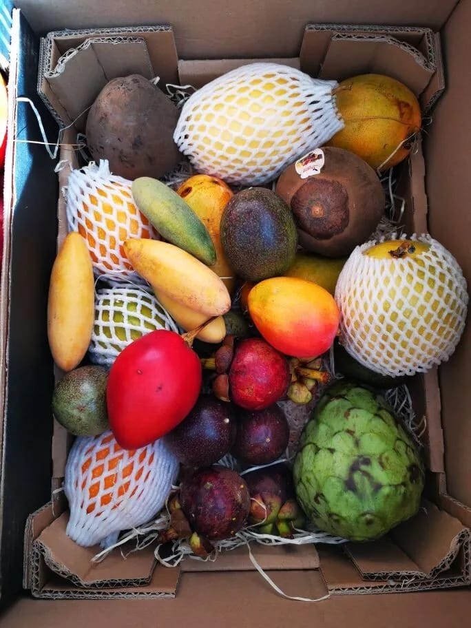 Customer photo review of Tropen-Weltreise Exotenbox
