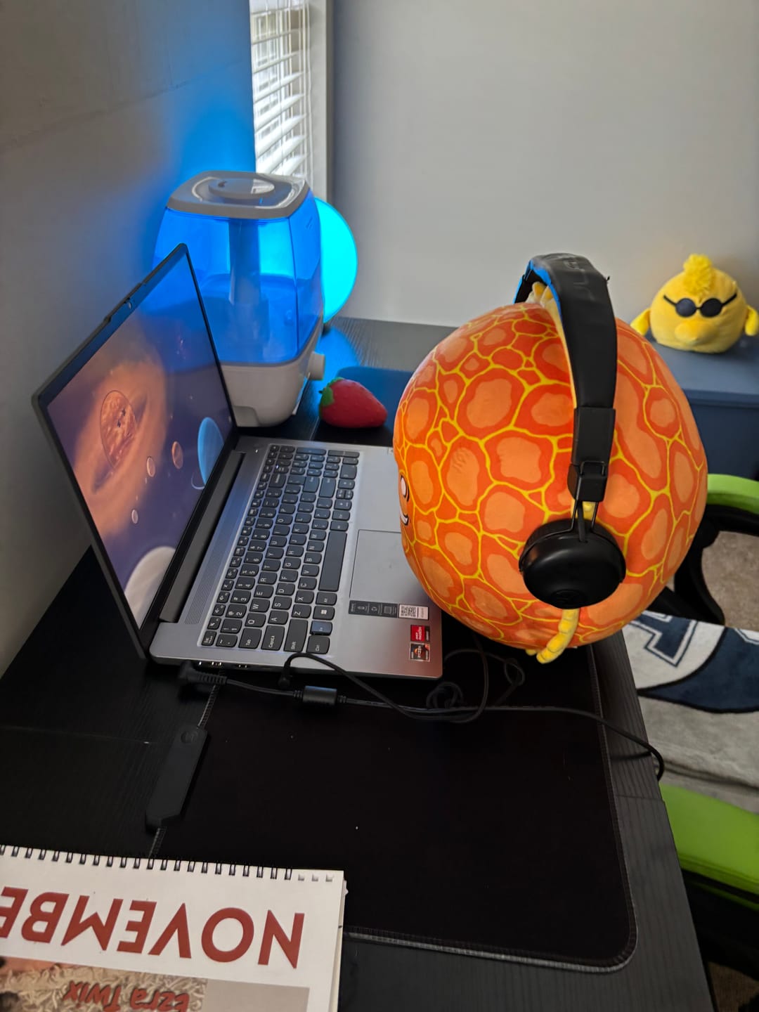 Customer photo review of The SolarBalls Sun Plush