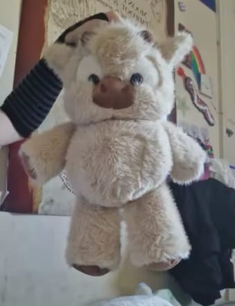 Customer photo review of MooMoo – La Vaquita Peluche que Corre