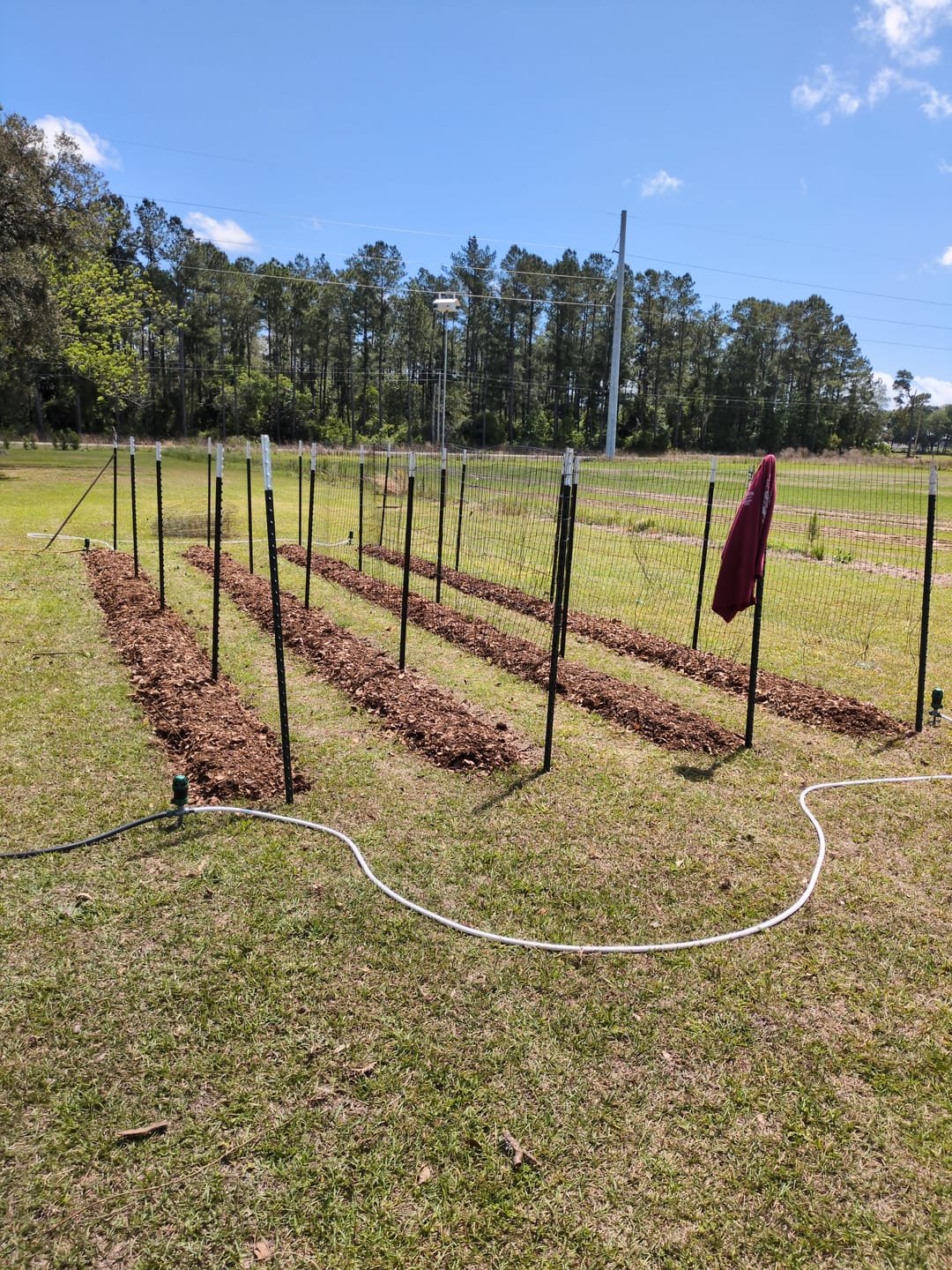 Customer photo review of All-Day Treadlite Broadfork | 20" wide | 4 tines