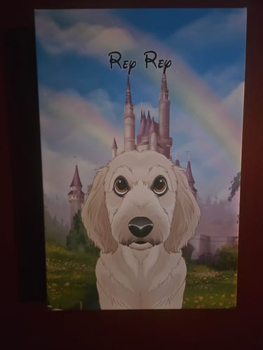 Customer photo review of Custom Cartoon Art Wrapped Pet Canvas
