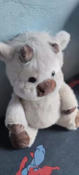 Customer photo review of MooMoo – La Vaquita Peluche que Corre