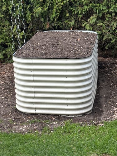 A customer's light-colored 32-inch Tall Modular garden bed, assembled and filled with soil in a yard.