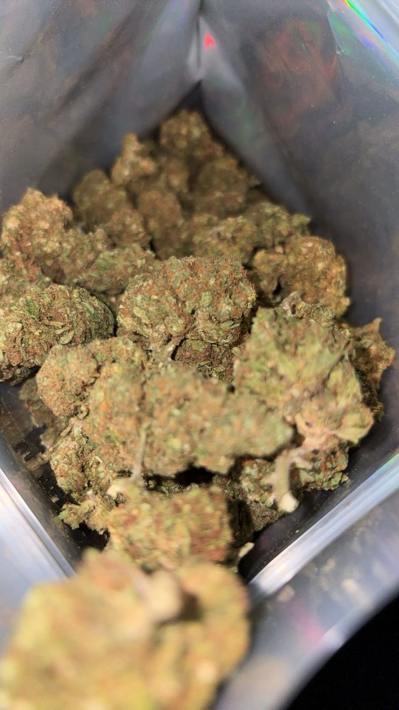 Customer photo review of Greenhouse Smalls