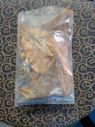 Customer's Indian Almond Leaves in clear packaging, showing some whole and broken leaves inside.
