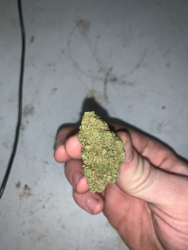 Customer photo review of Blue Dream - 28 Grams - Sativa