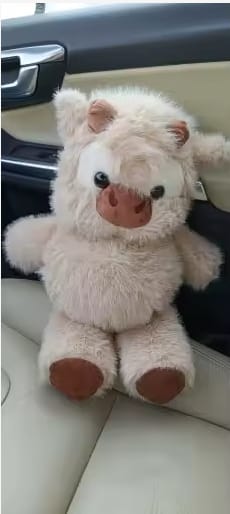 Customer photo review of MooMoo – La Vaquita Peluche que Corre