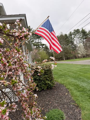 Customer photo review of 3' x 5' American Flag Set