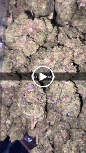 Customer photo review of Rainbow Runtz - Bulk - Hybrid