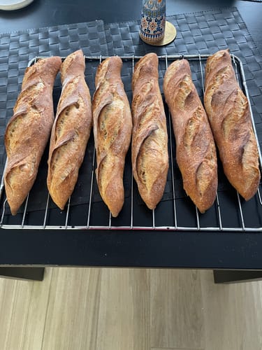 Customer photo review of Macte Ovens Nettuno | Forno elettrico per pizza e pane