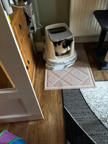 Customer photo review of 1 Month Supply – 2 Cat