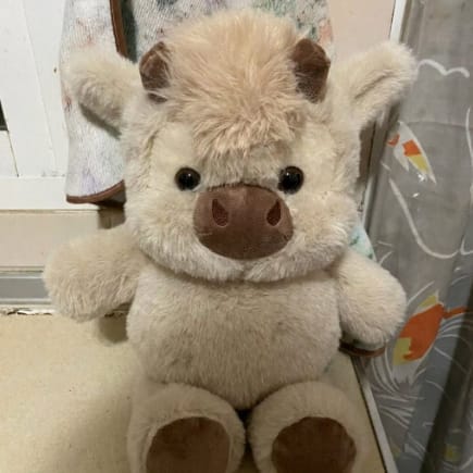Customer photo review of MooMoo – La Vaquita Peluche que Corre