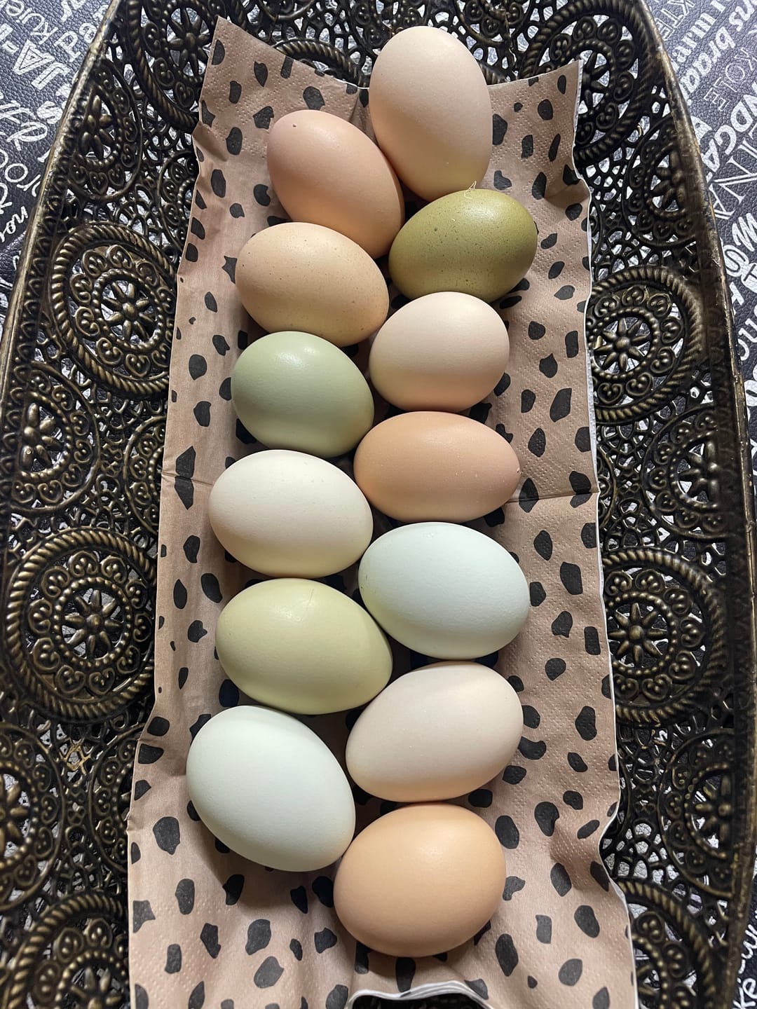 Customer photo review of Avi Forte (Performance, Immunity & Feather Health for Poultry & All Bird Species)