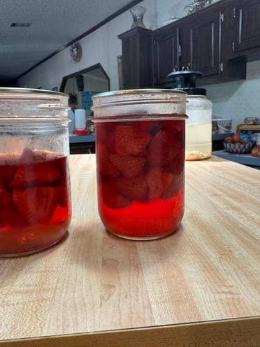 Customer photo review of Mason Genie® Vacuum Sealer Kit