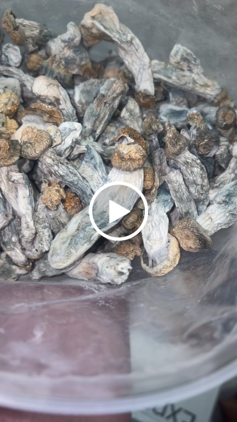 Customer video review of Non Detect Bulk Mushrooms