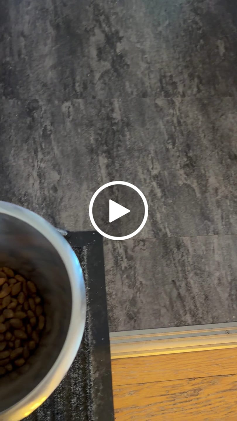 Customer video review of Hundsås Lamm