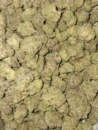 Customer photo review of Elite Boutique Exotic Limon Berry - Bulk - Hybrid