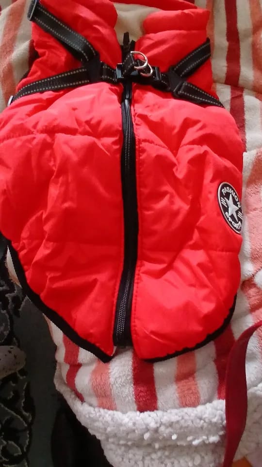 Customer photo review of Waterproof Warm Winter Dog Jacket With Harness | Dog Clothes