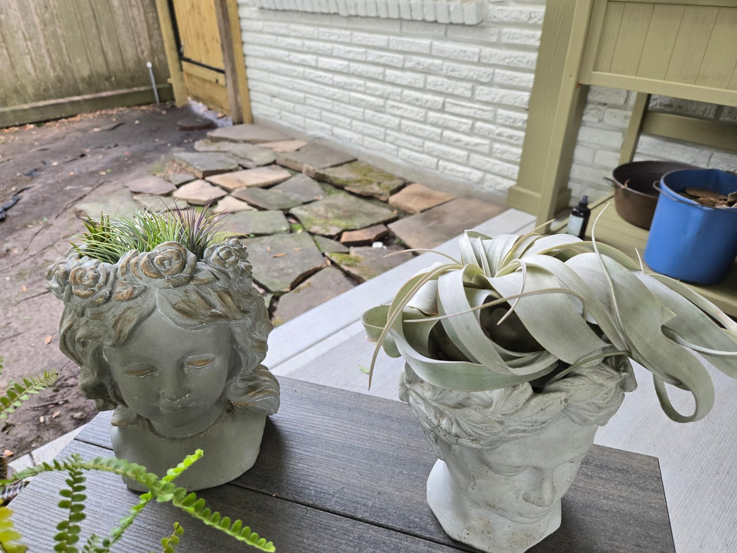 Customer photo review of Ionantha Guatemala