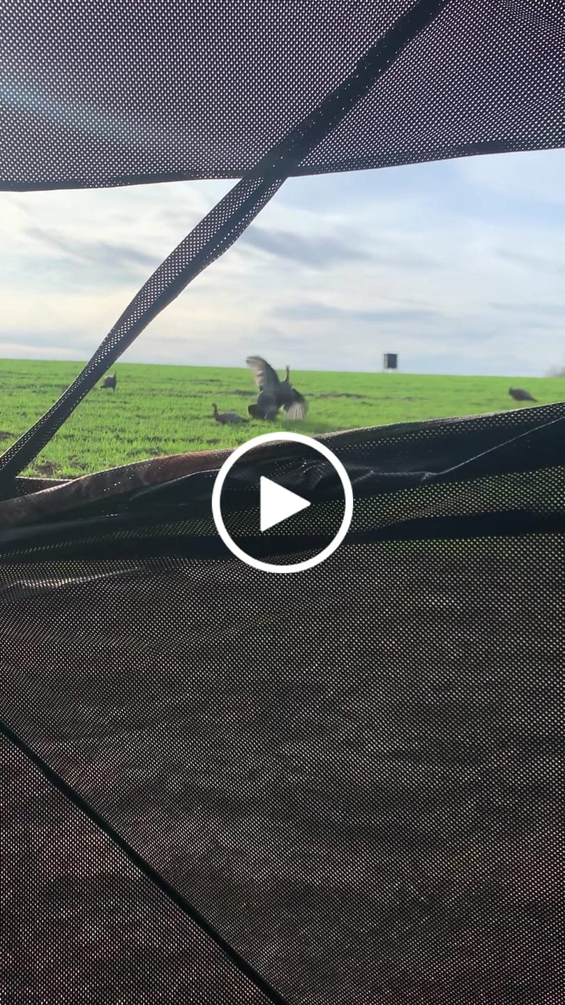 Customer video review of FLASH SALE VisX/VisMax 270 Degree Ground Blind | See-Through Duck Blind & Portable Pop-Up Deer Blind | Camouflage Hunting Blinds & Best Budget Ground Options