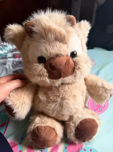 Customer photo review of MooMoo – La Vaquita Peluche que Corre