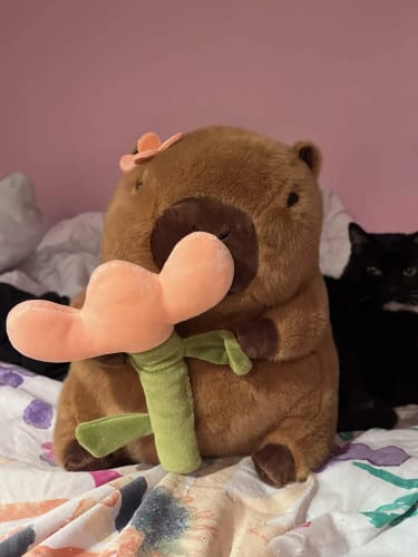 Customer photo review of Capybara Bread & Flower Plush Toy