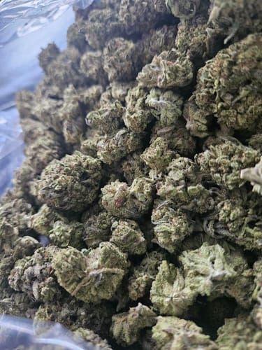 Customer photo review of GMO - Bulk - Indica