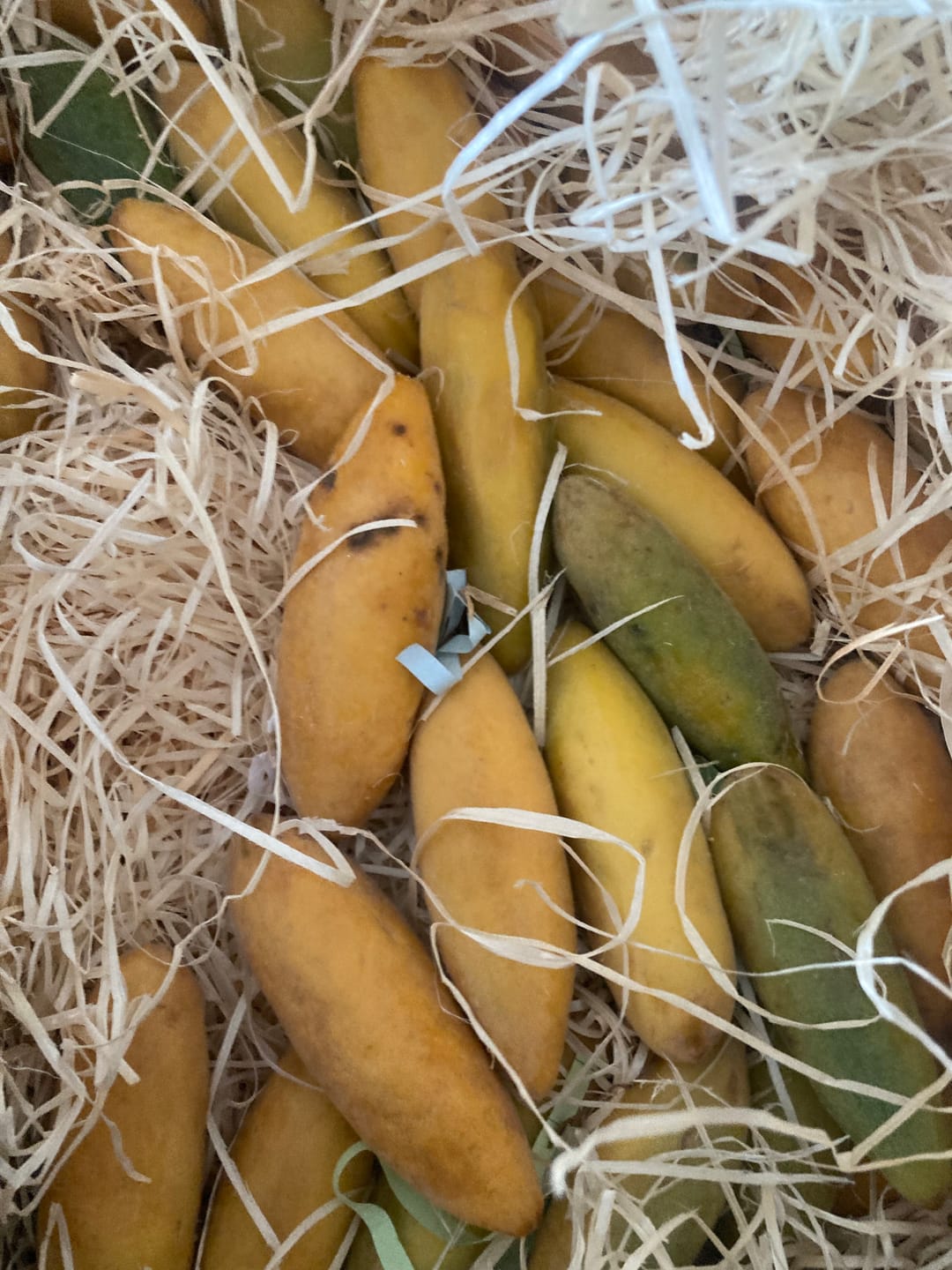 Customer photo review of Curuba (Bananen-Maracuja)