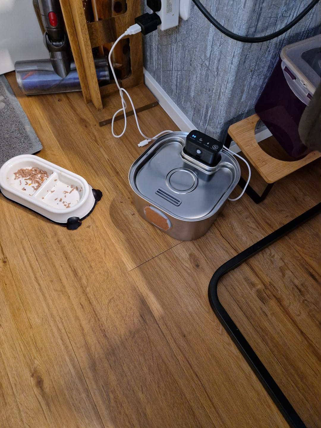 Customer photo review of PfotenBrunnen™ - Katzenwasserspender