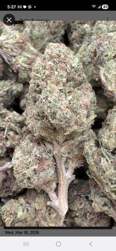 Customer photo review of Sour OG - Bulk - Hybrid