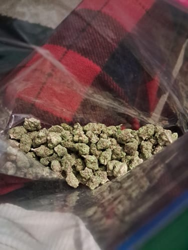 Customer photo review of Gusher Mintz Indoor Littles - Bulk Littles - Hybrid